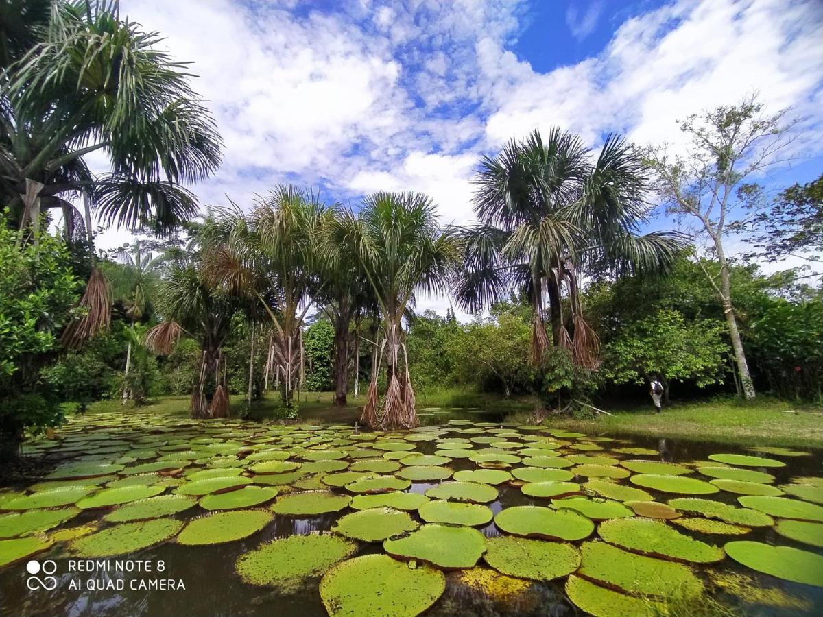 Jacamar Lodge Expeditions Iquitos Extérieur photo