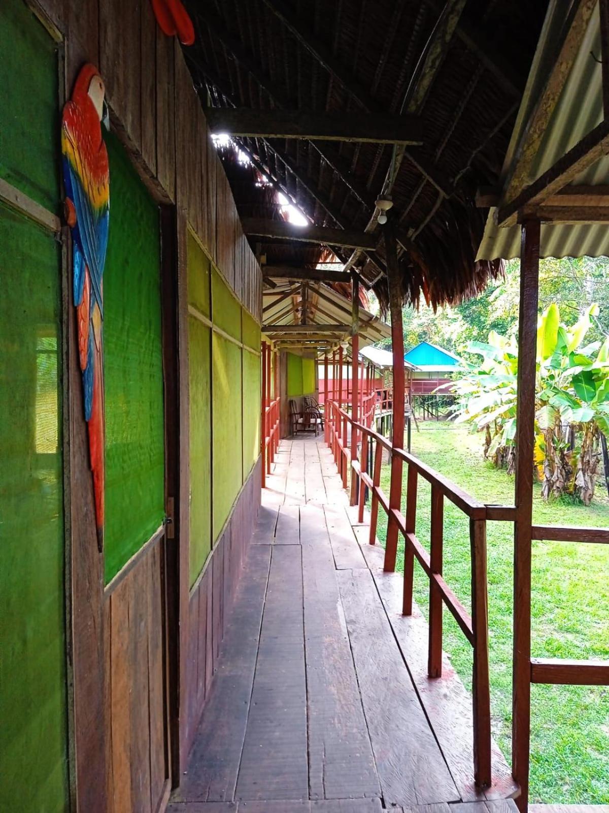 Jacamar Lodge Expeditions Iquitos Extérieur photo
