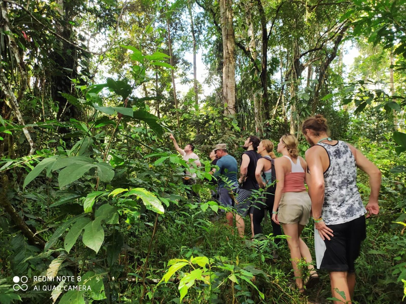 Jacamar Lodge Expeditions Iquitos Extérieur photo